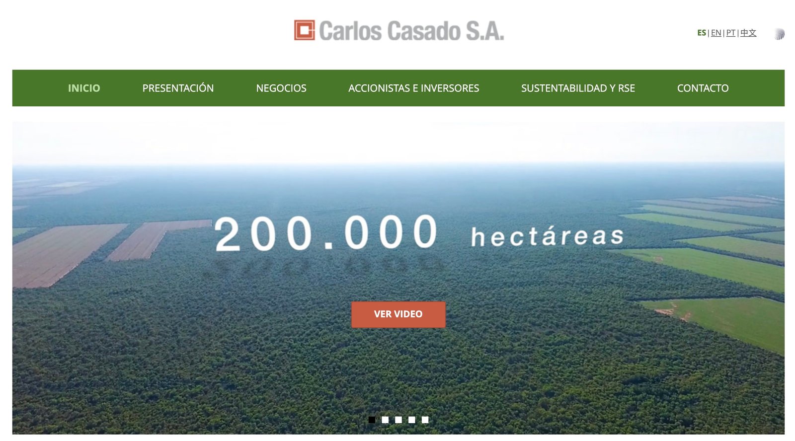 Carlos Casado, Eric Nesich, Acciones de Carlos Casado S.A., Análisis de Carlos Casado