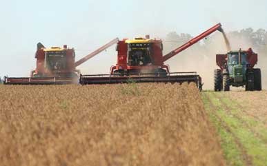 Plan Estratégico Agroalimentario
