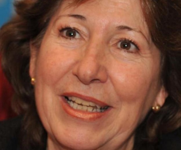 Diputada Griselda Baldata, ARI