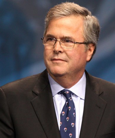 Jeb Bush