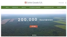 Carlos Casado, Eric Nesich, Acciones de Carlos Casado S.A., Análisis de Carlos Casado