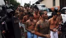 MS-13, miembros, Mara Salvatrucha