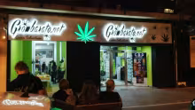 Marihuana, traficantes de droga
