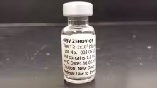 Vacuna contra la infección del virus Ebola