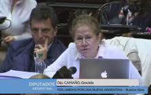 Graciela Camaño, Sergio Massa
