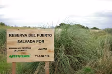 Reserva, Puerto de Mar del Plata