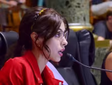 Rebeca Fleitas, La Libertad Avanza, VTV, Grabado de autopartes, Rodríguez Larreta