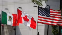T-MEC, USMCA, Tratado de Libre Comercio, TLC