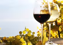 Vinos, falsificación